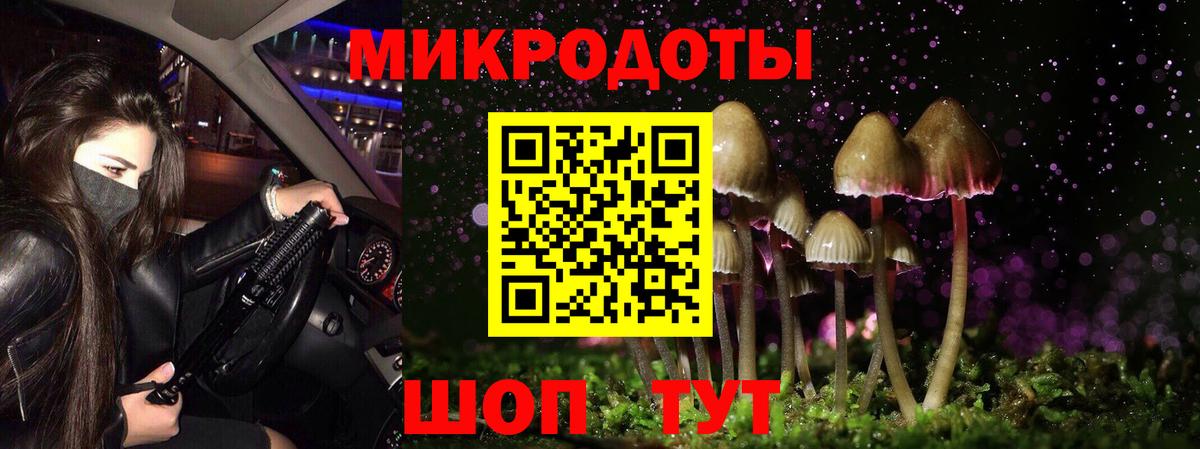 Псилоцибиновые грибы мухоморы Верхняя Пышма